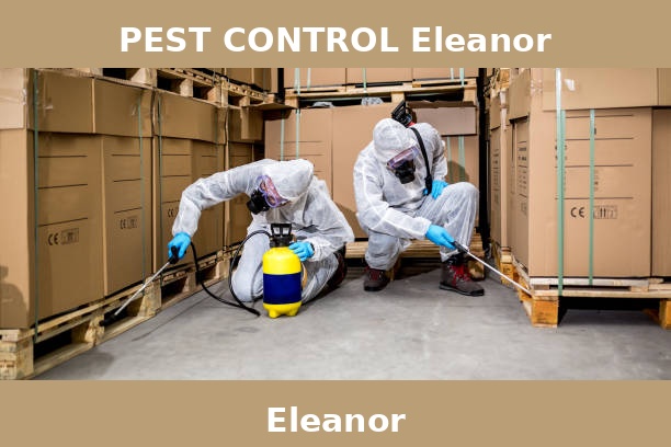 PEST CONTROL Eleanor